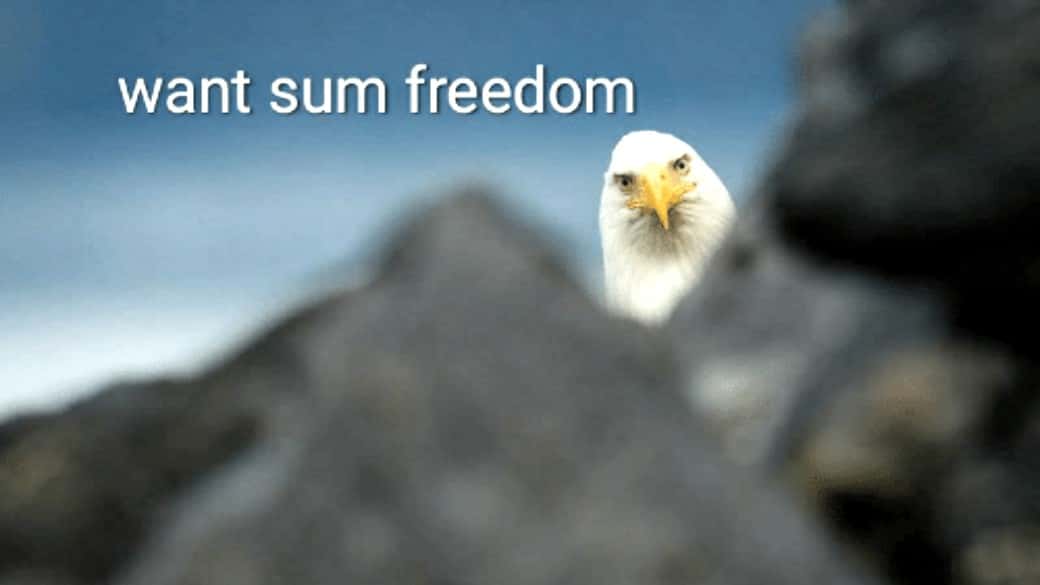 The Creepiest Last Words facts 