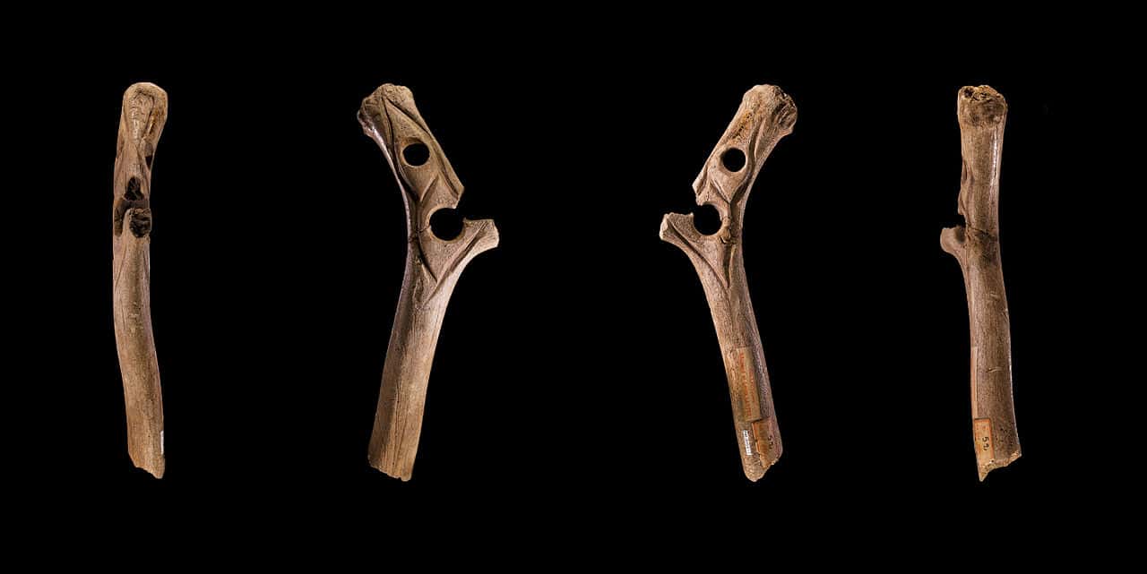 Prehistoric Humans facts