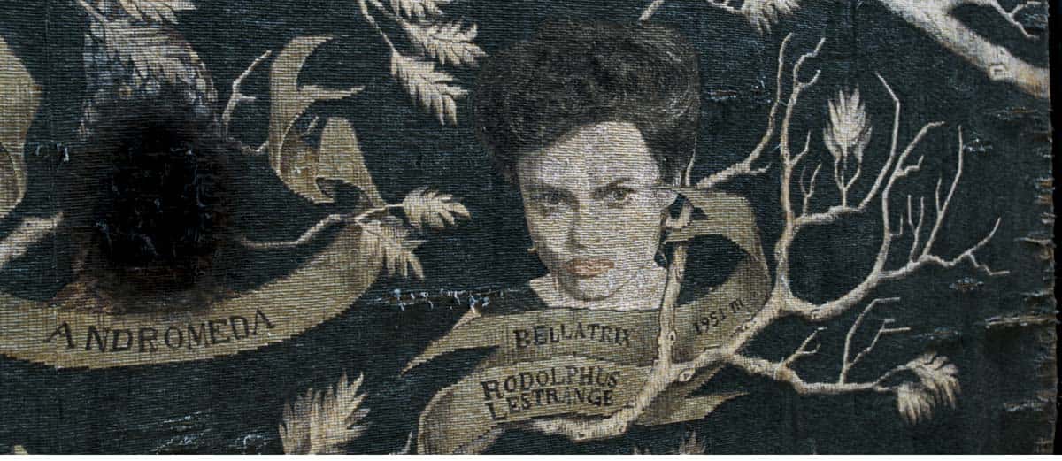 Bellatrix Lestrange facts