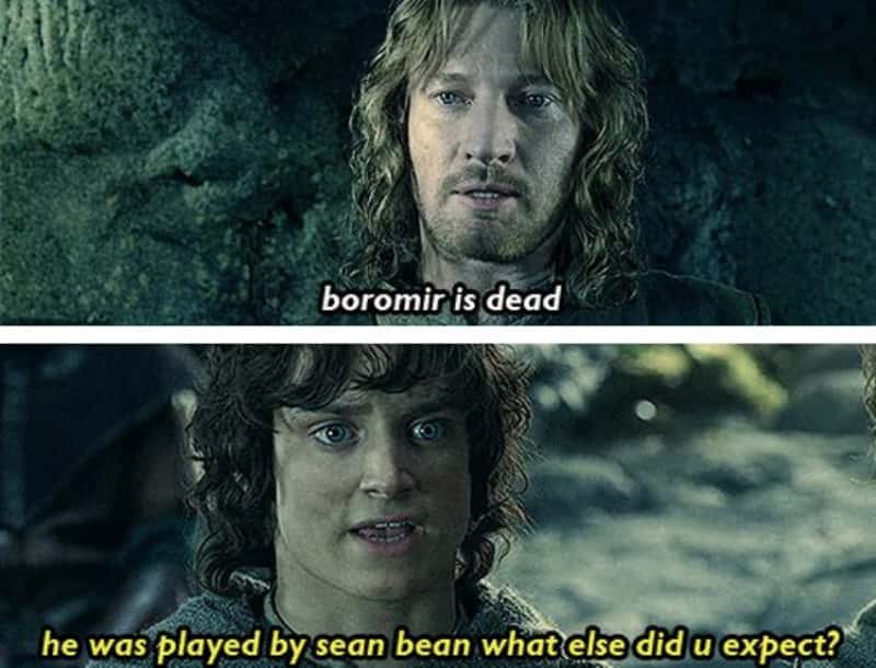 The Fellowship Of The Ring facts