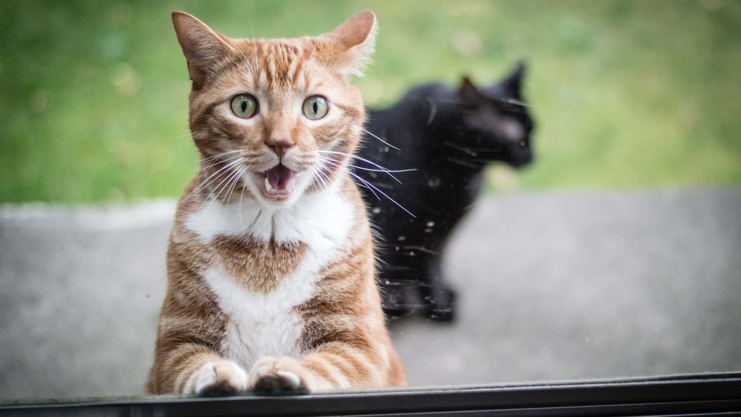 People Share The Weirdest Thing They Can't Explain Facts