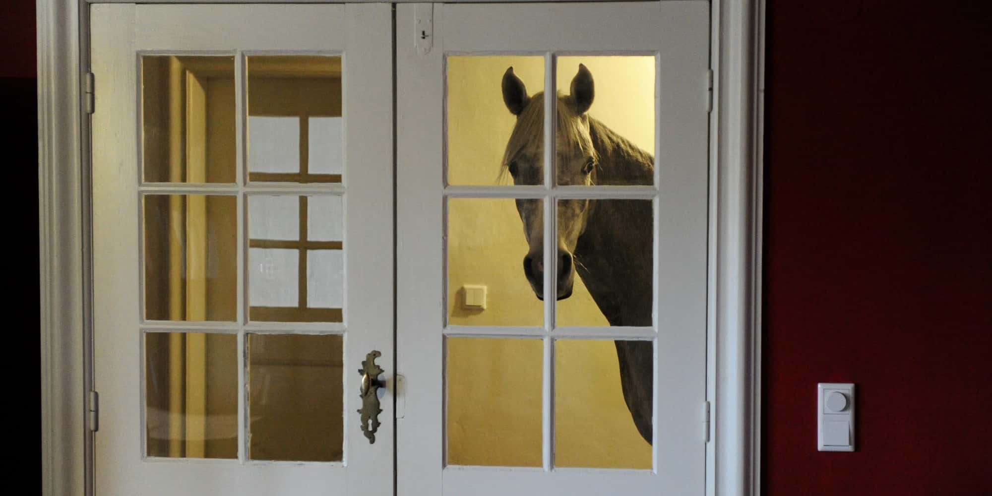 Brain Autopilot facts