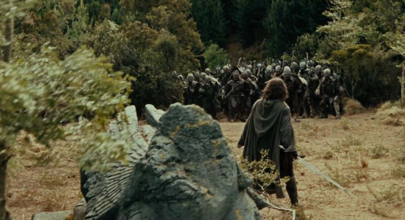 The Fellowship Of The Ring facts