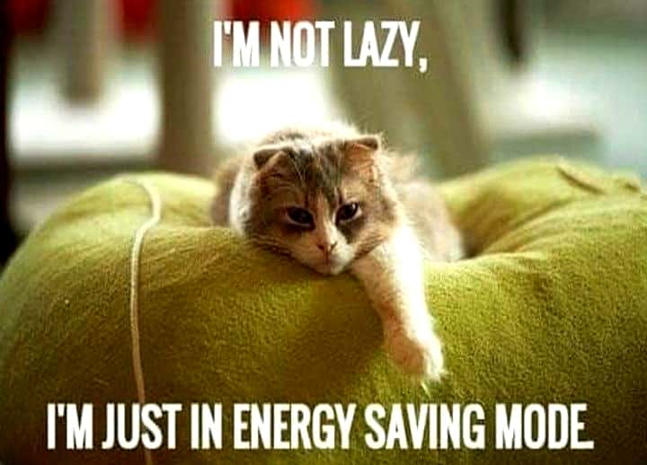 Chinese Emperors Facts