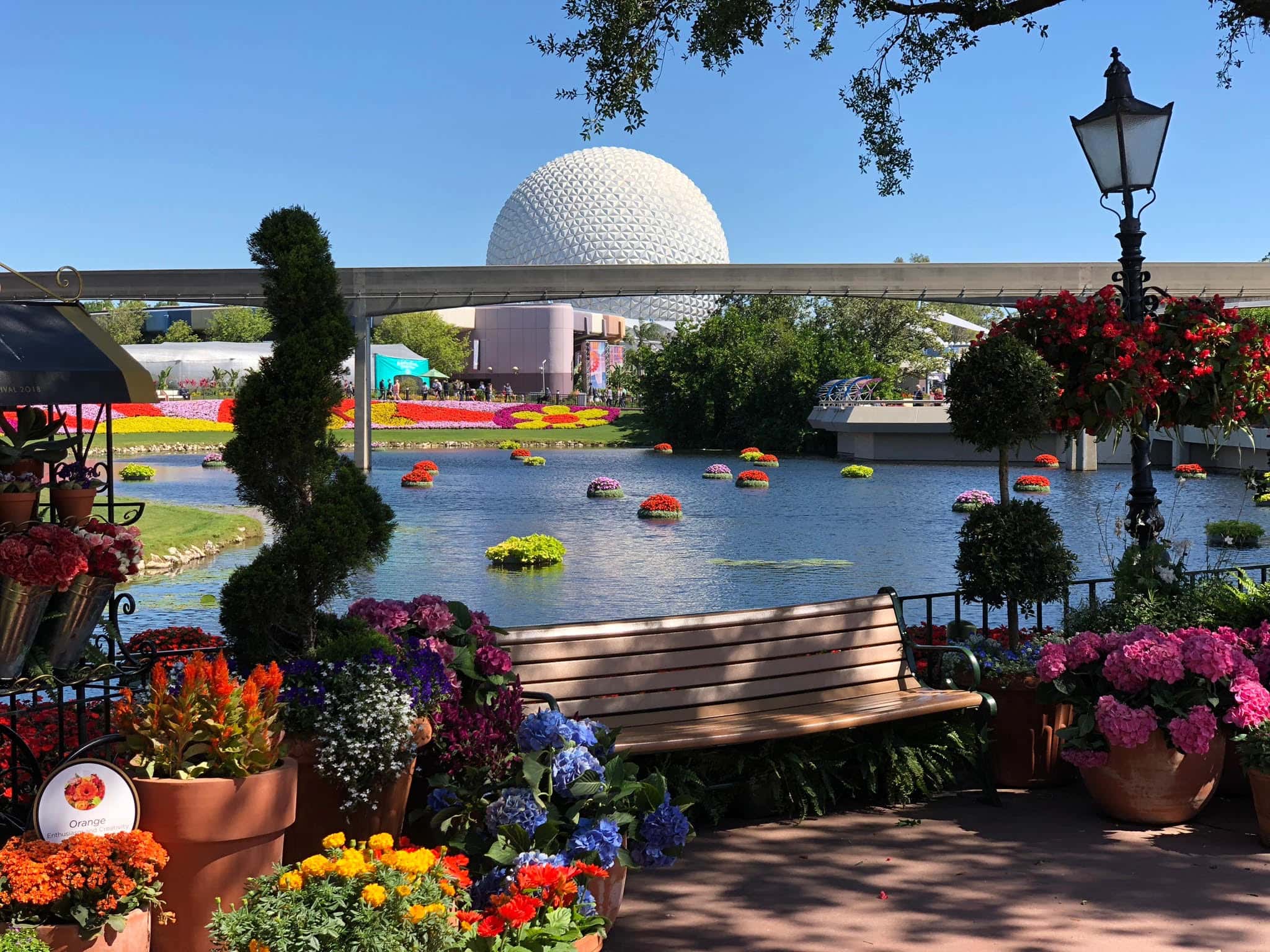 Disney Employees the Weirdest Thing They’ve Seen facts