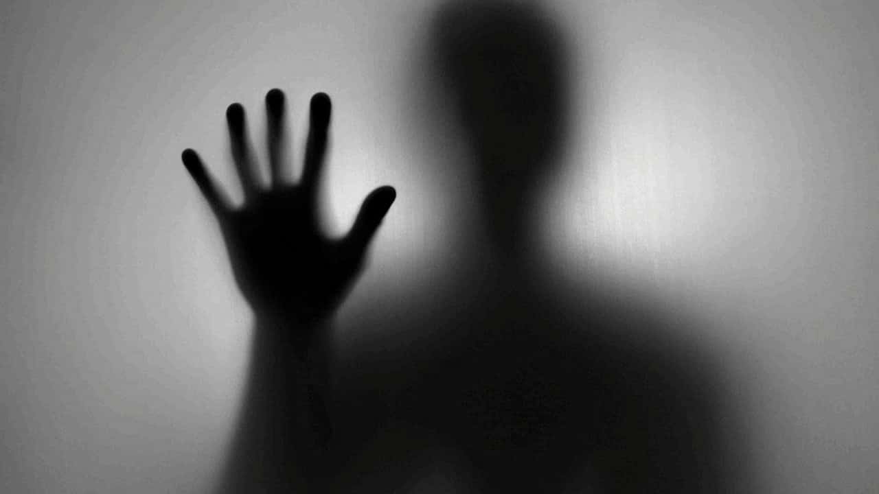 Paranormal Experiences facts