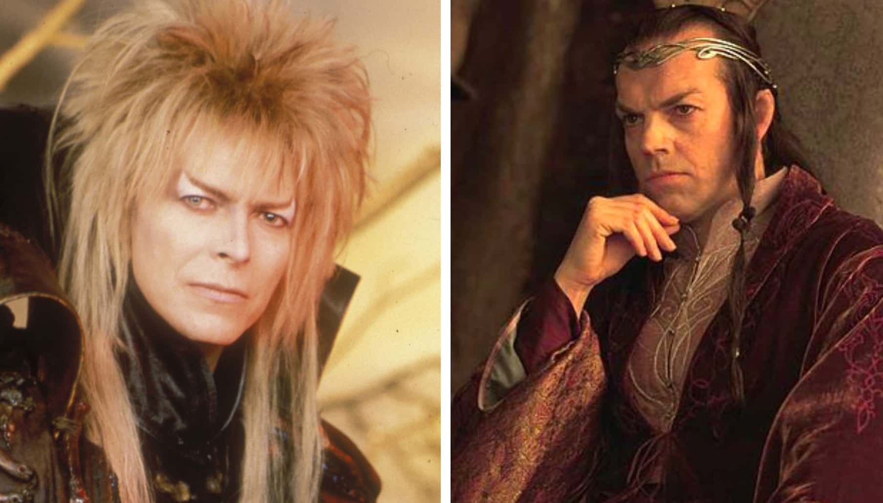 The Fellowship Of The Ring facts