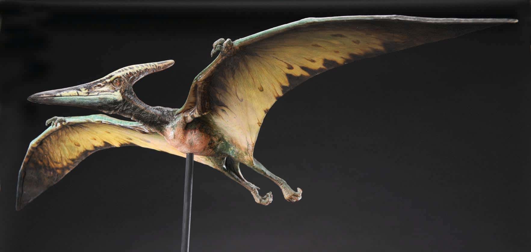 People Share The Weirdest Thing They Can't Explain Facts