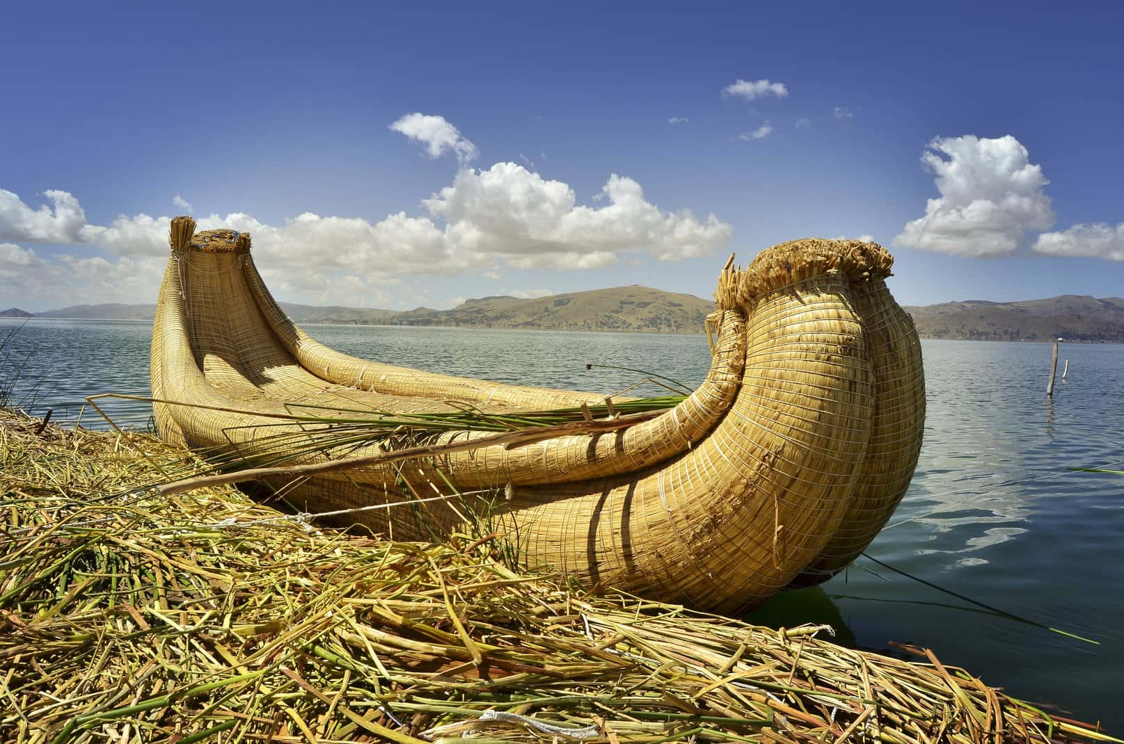 Prehistoric Humans facts