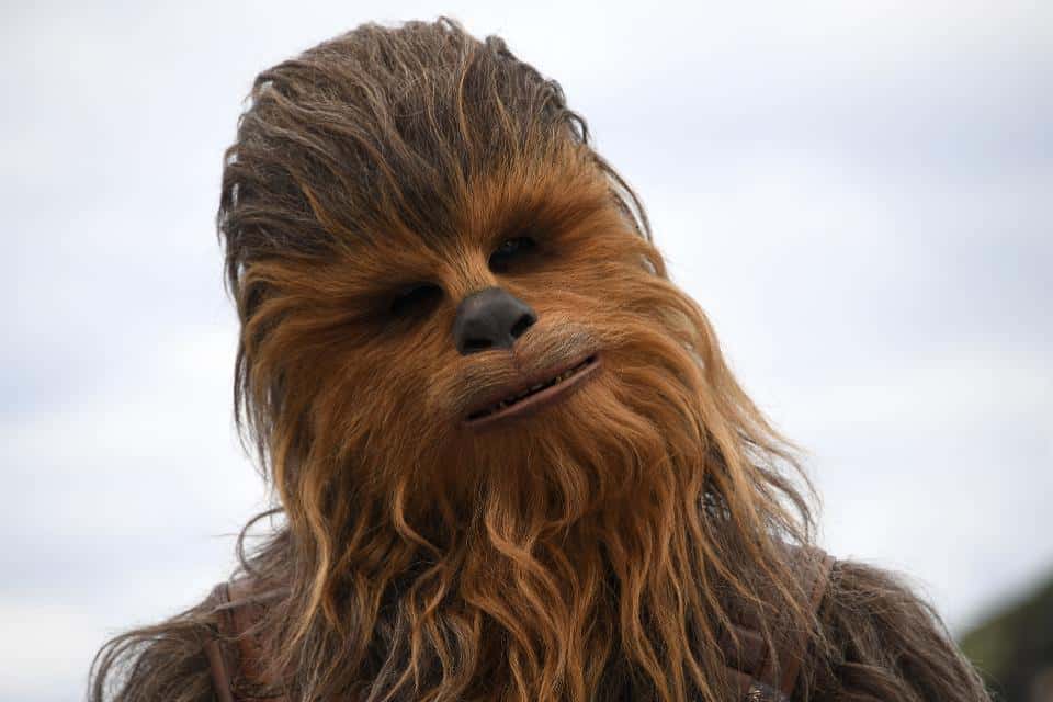Chewbacca facts