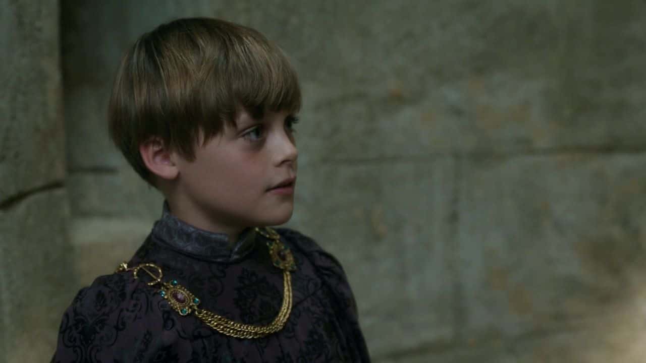 Henry VIII's Wives Facts