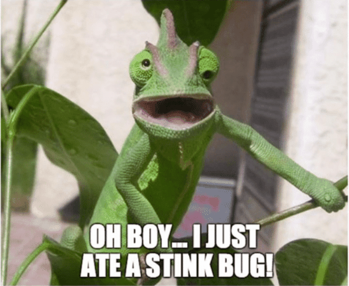 Horrifying Thing Woken Up To facts