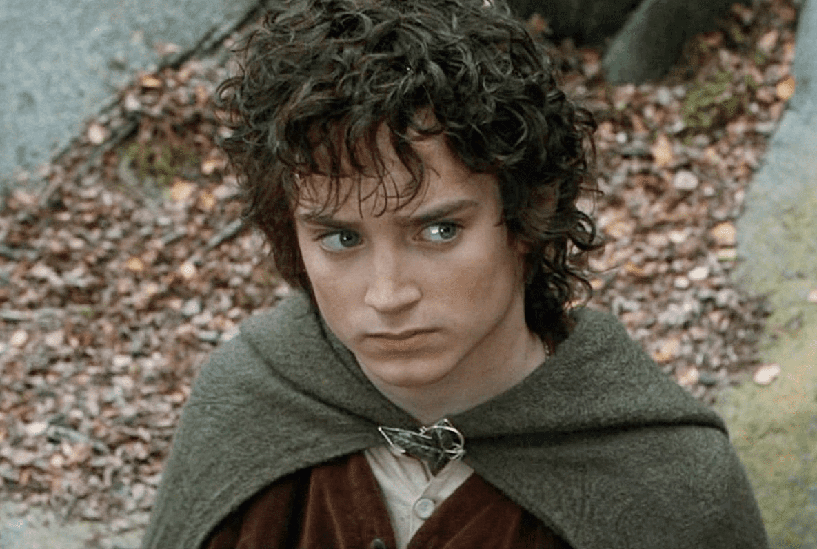 The Fellowship Of The Ring facts