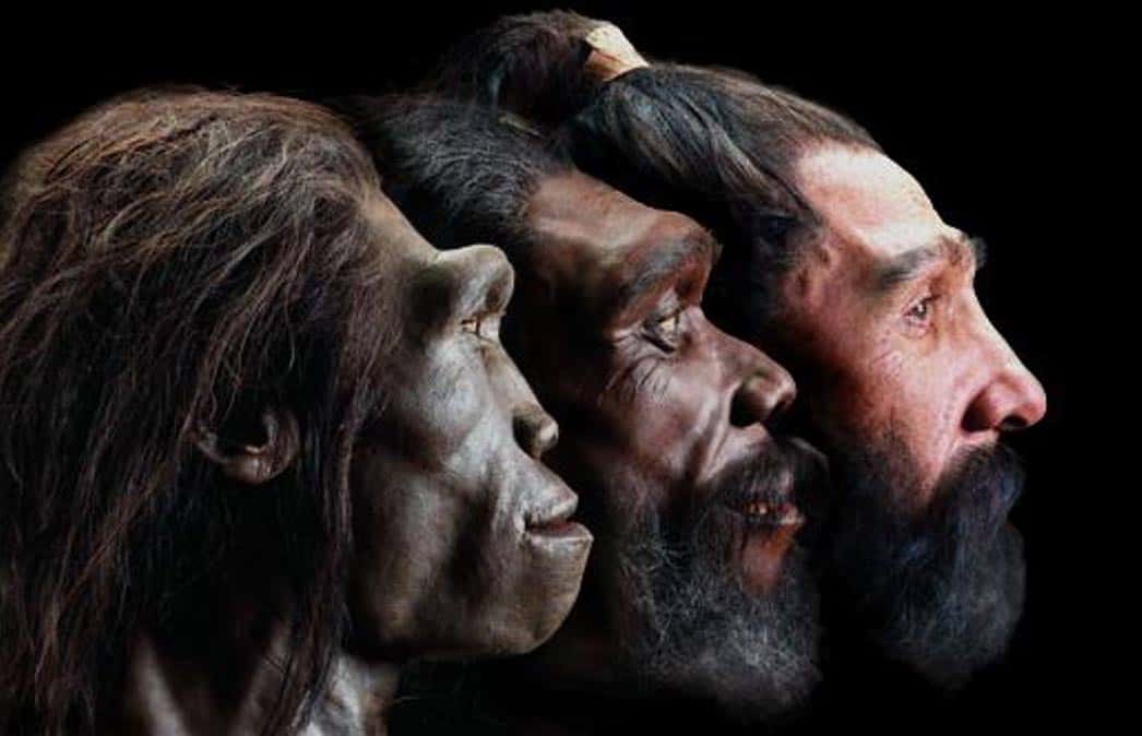 Prehistoric Humans facts