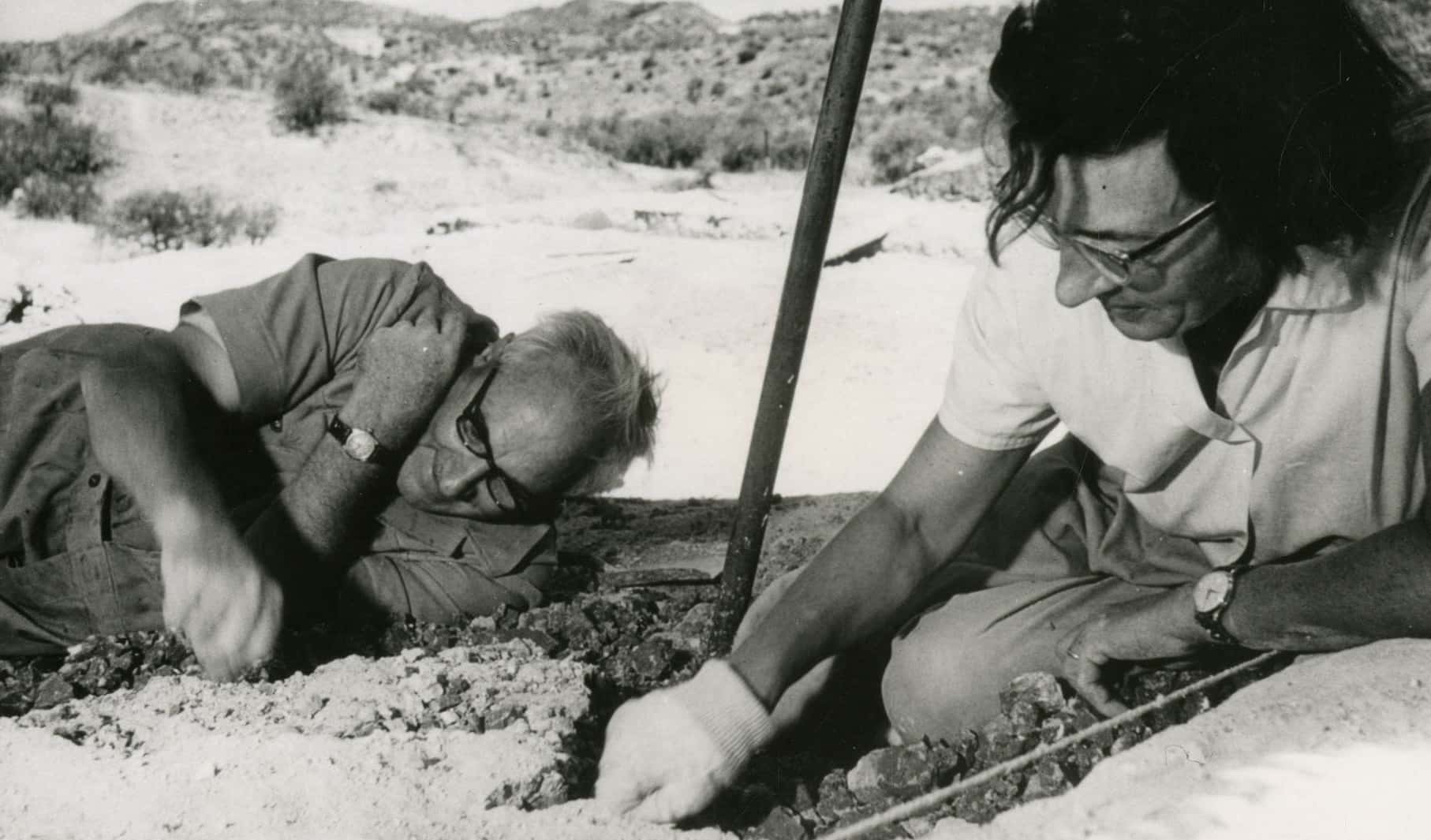 Prehistoric Humans facts