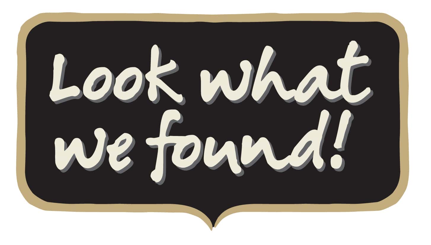 The Weirdest Things Seen In Another Person's Home Facts