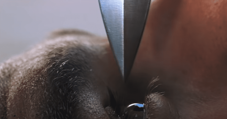 Mission: Impossible Films facts