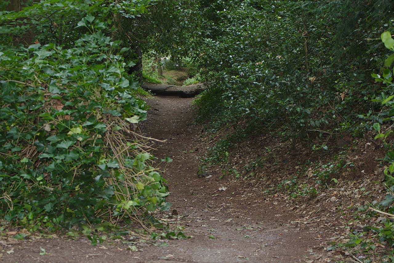 Battle Of Thermopylae Facts