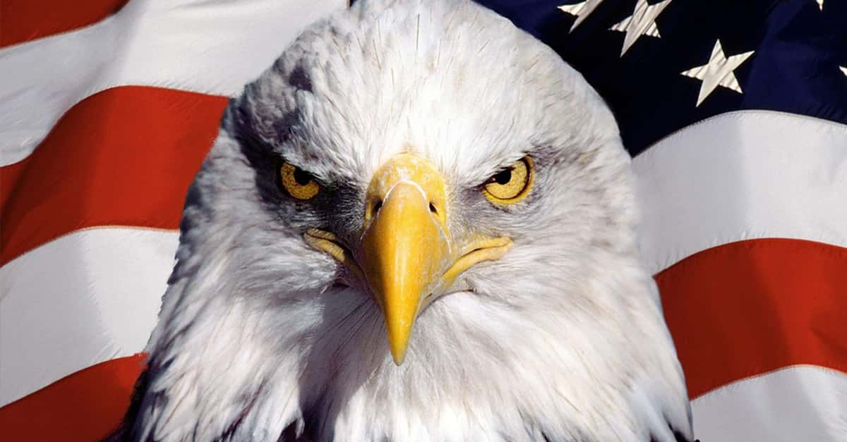 Non-Americans Share Their Misconceptions About The USA