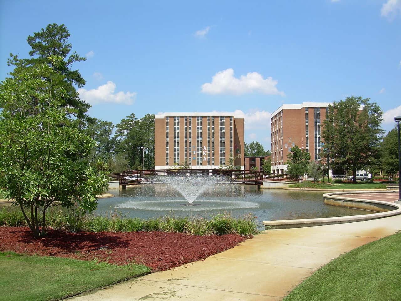 Michael Jordan facts