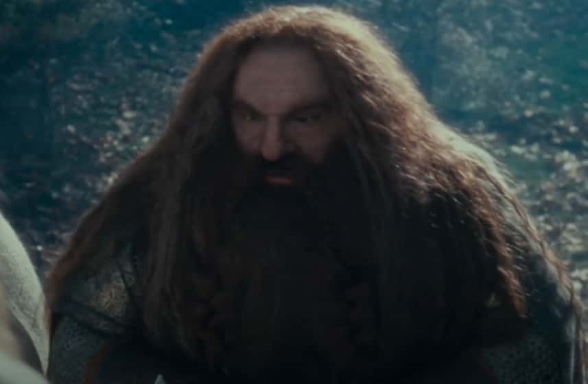 The Fellowship Of The Ring facts