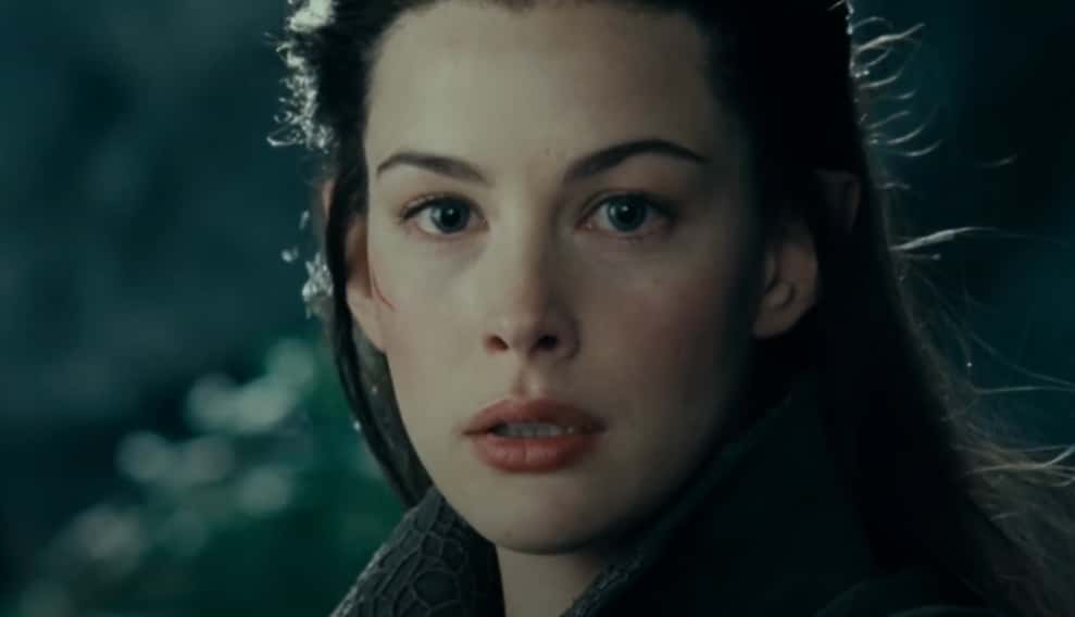 The Fellowship Of The Ring facts