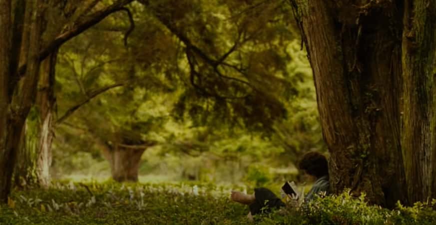 The Fellowship Of The Ring facts 