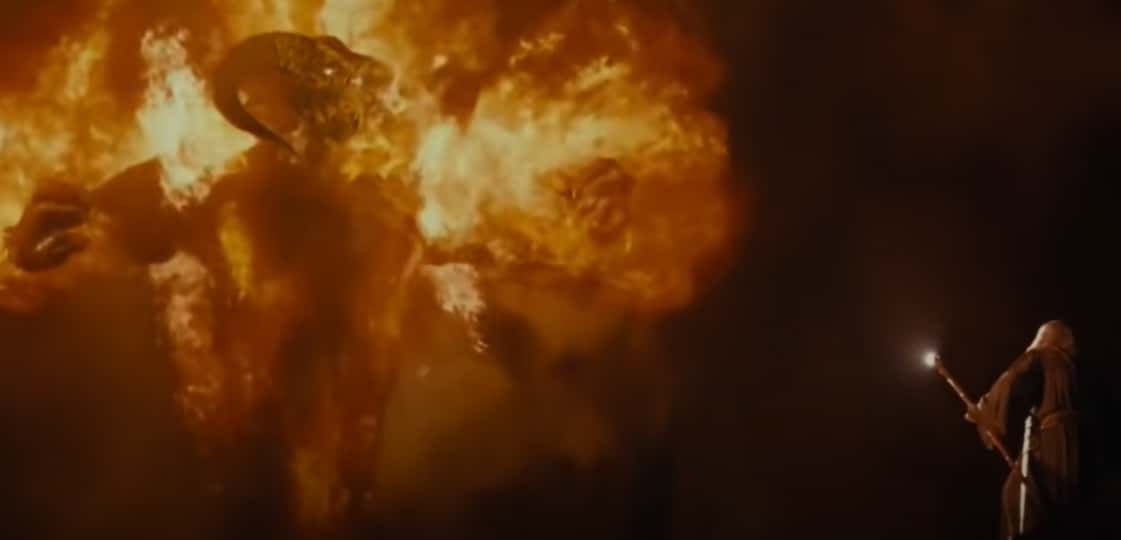 The Fellowship Of The Ring facts