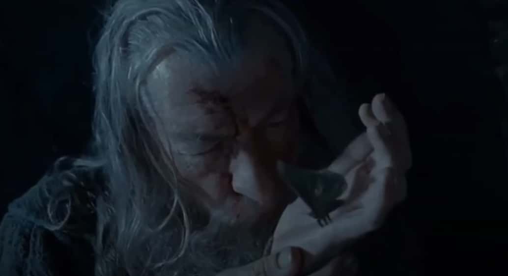 The Fellowship Of The Ring facts