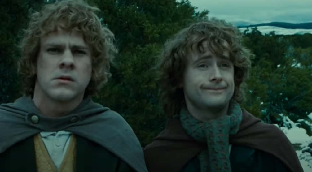 The Fellowship Of The Ring facts