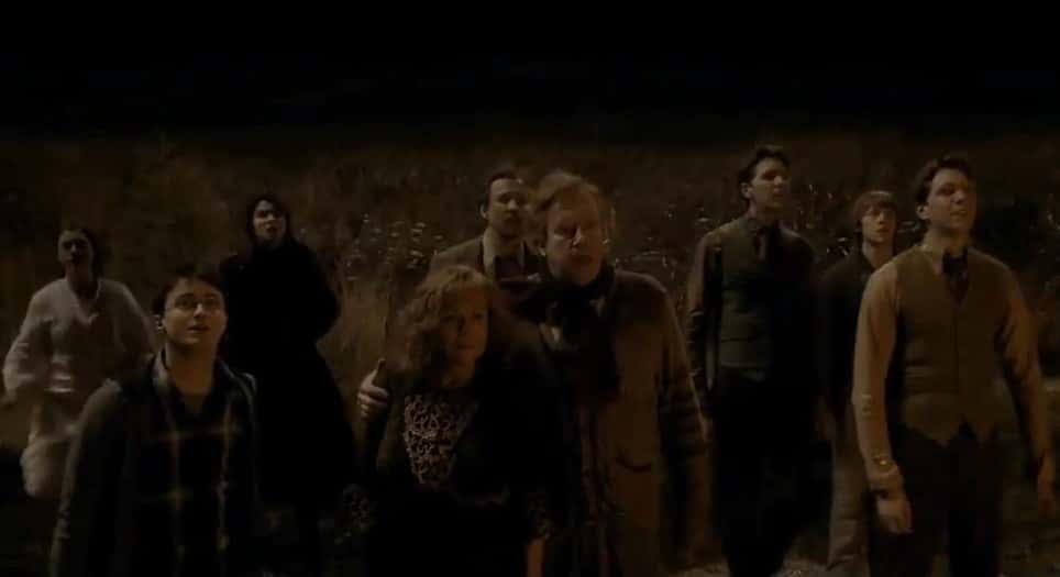 Bellatrix Lestrange Facts