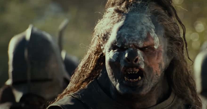 The Fellowship Of The Ring facts 