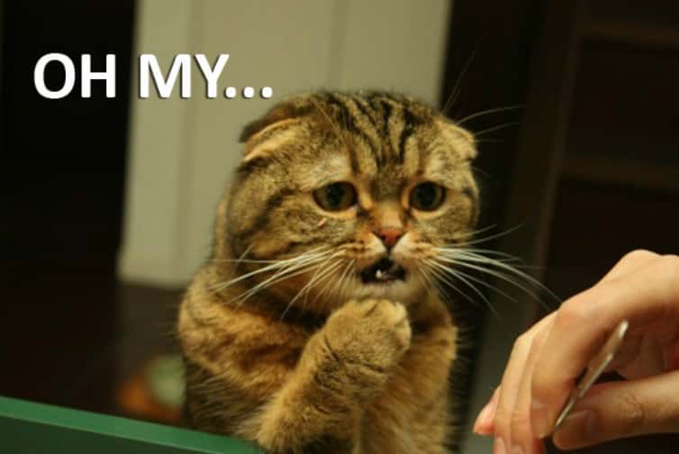 The Weirdest Things Seen In Another Person's Home Facts