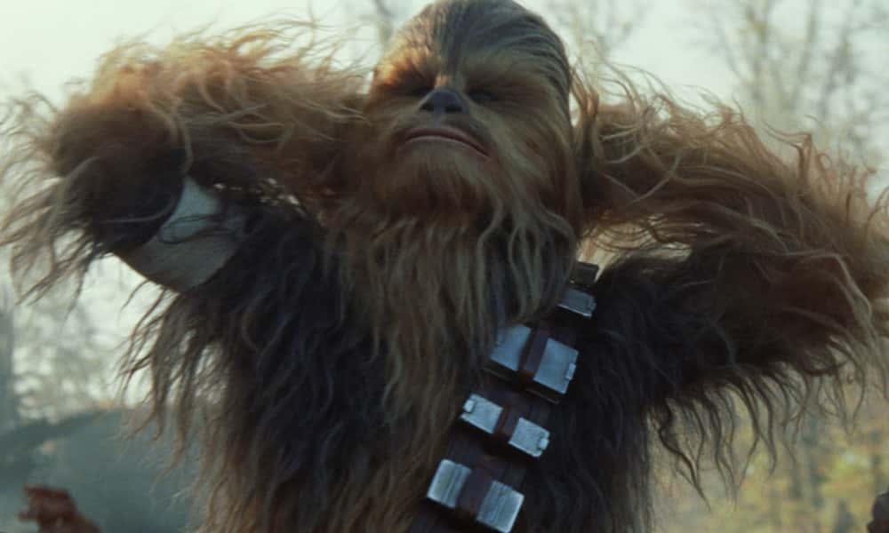 Chewbacca facts