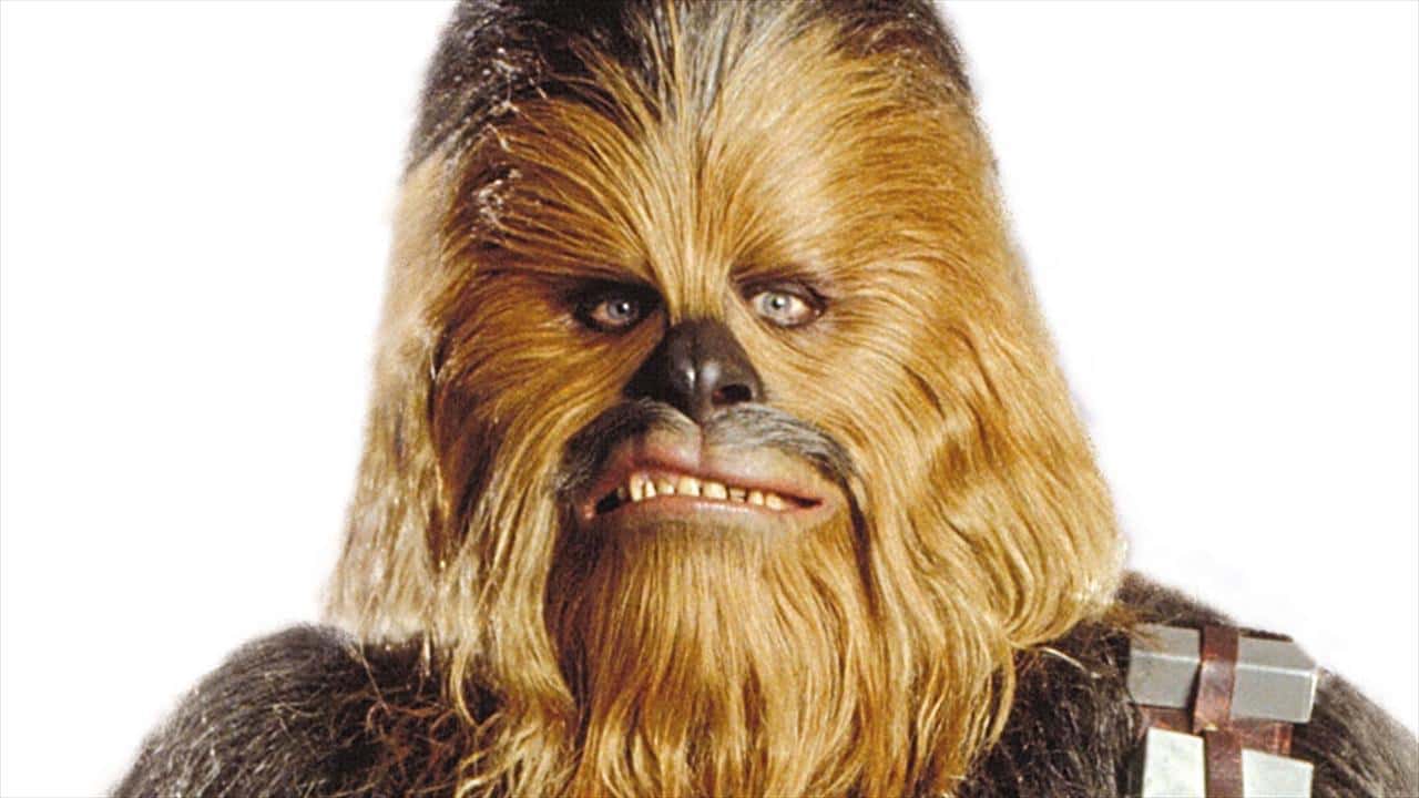 Chewbacca facts