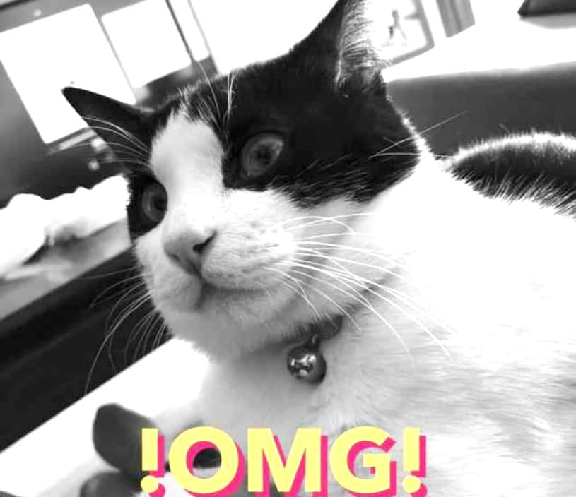 Benedict Cumberbatch facts