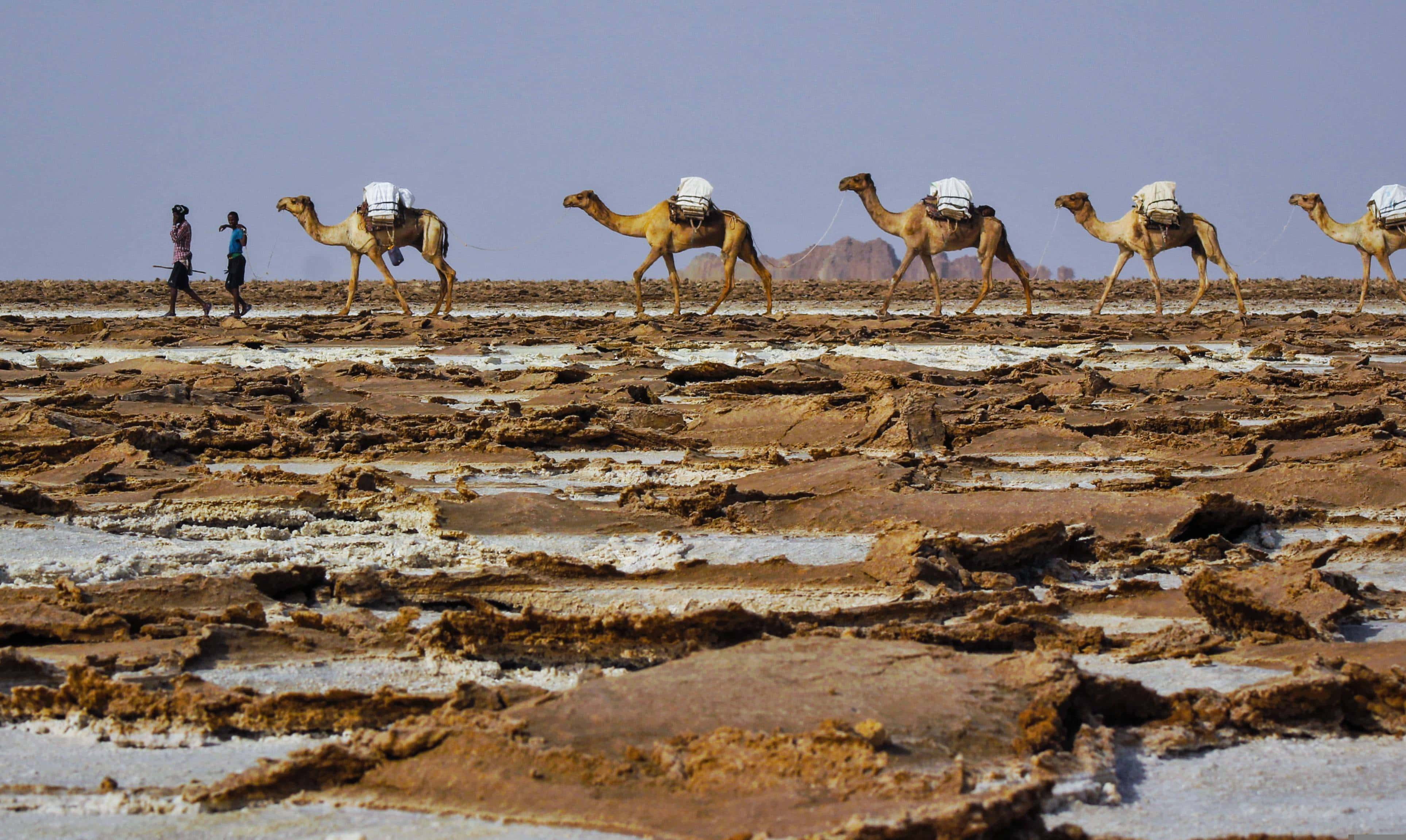 Dangerous Places facts