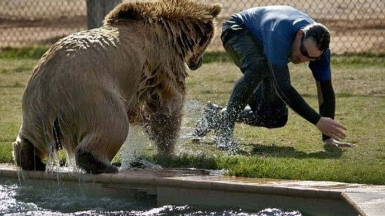 The Weirdest Things Seen In Another Person's Home Facts