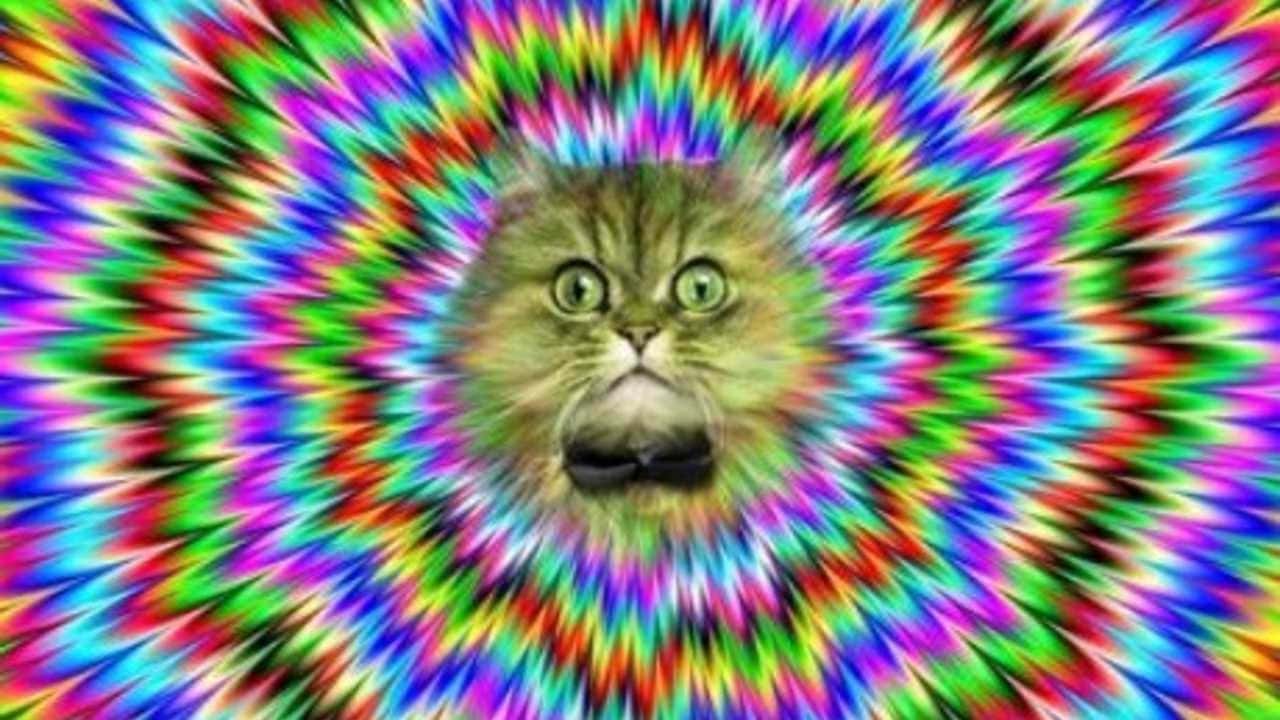 Near Death Experiences Facts