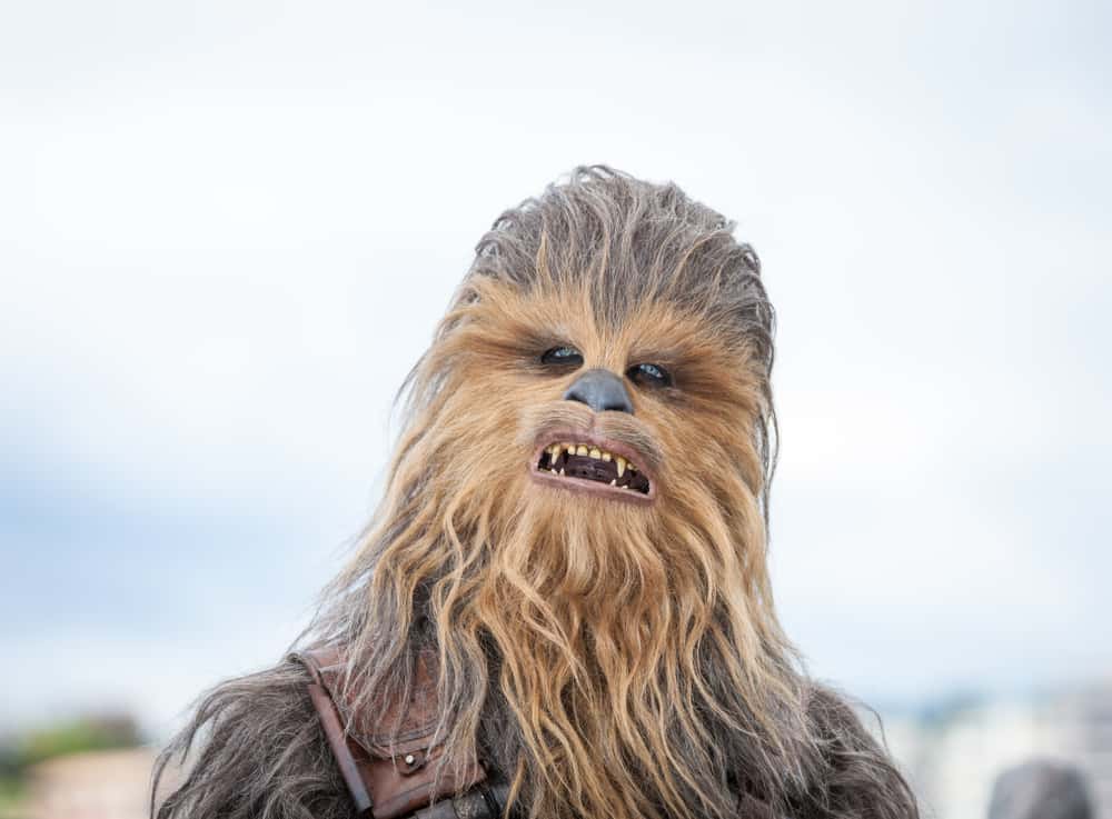 Chewbacca Facts