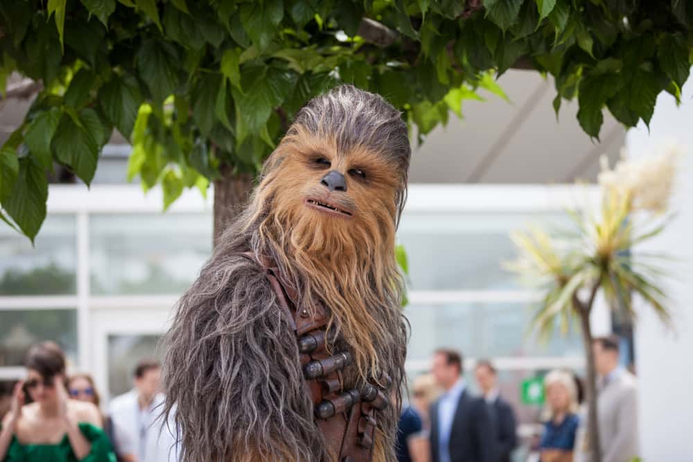 Chewbacca Facts