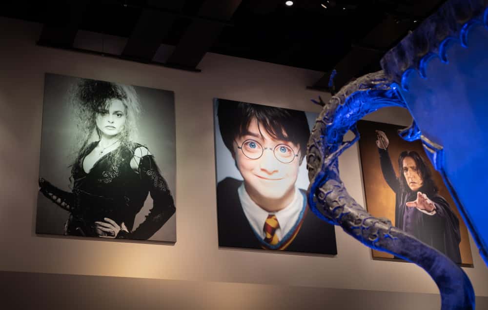 Bellatrix Lestrange Facts