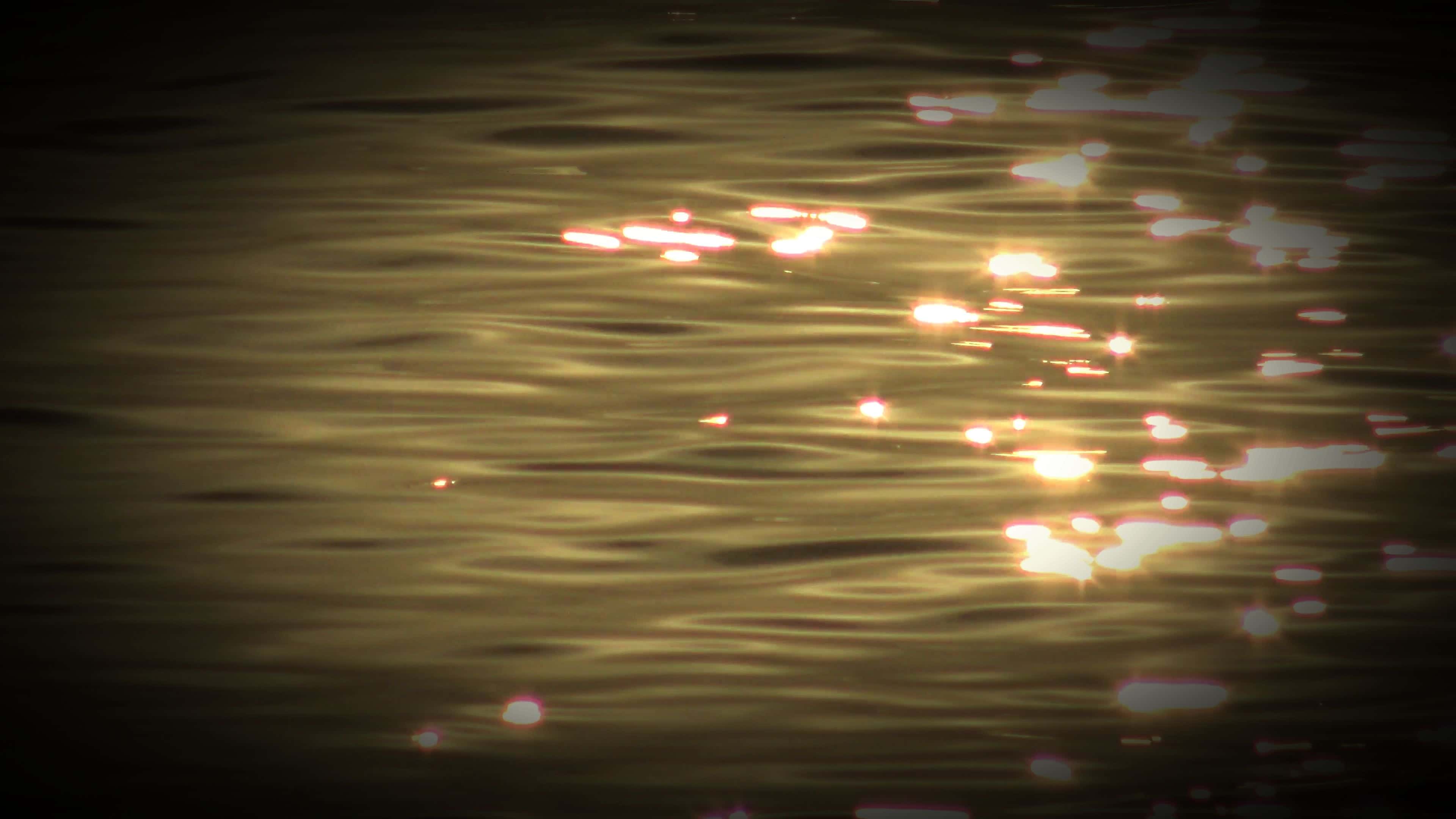 Near Death Experiences Facts