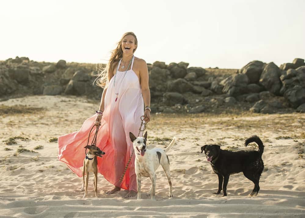 Divorce Lawyers Admit The Pettiest Ways People Have Screwed Over Their Spouses Facts