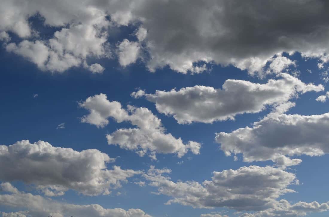 Police Paranormal Facts