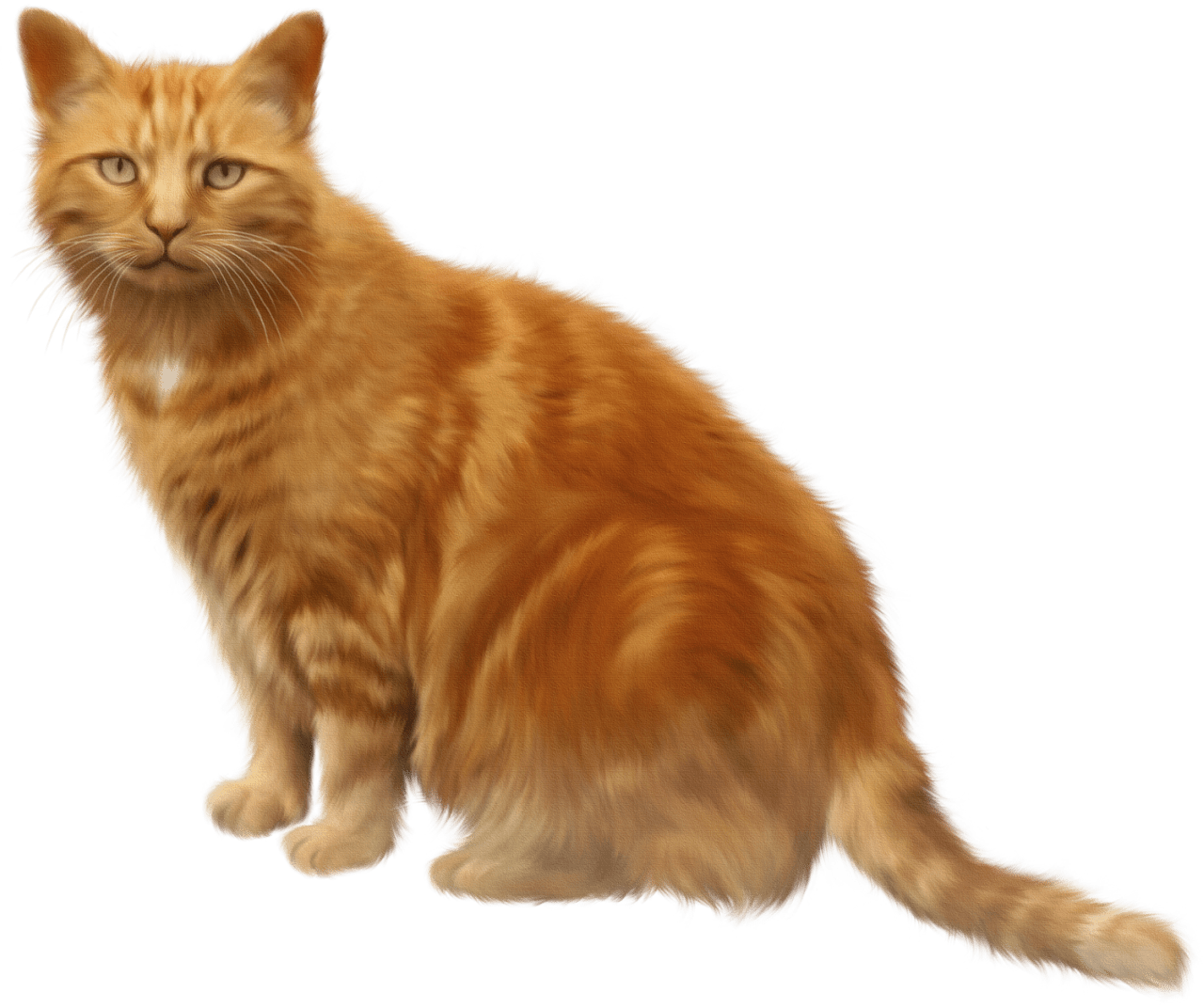 Glitch In The Matrix Moments facts