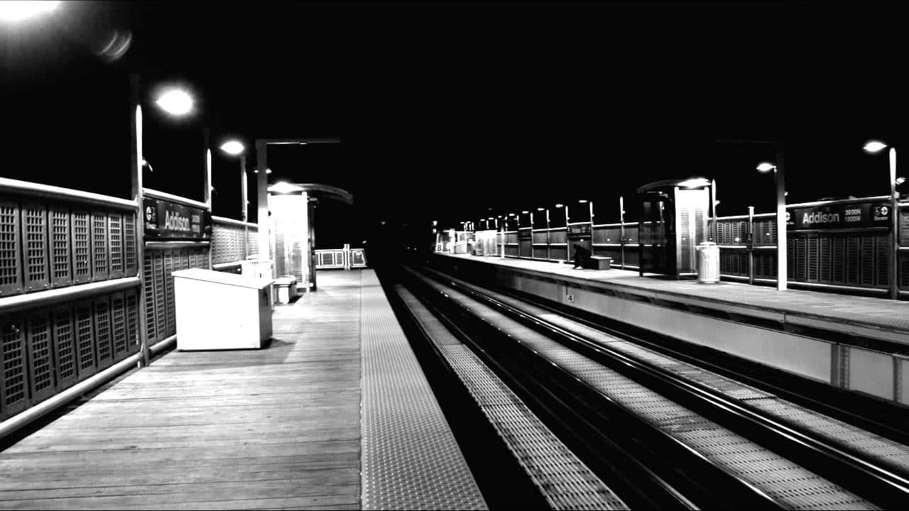 Bizarre Celebrity Encounters facts