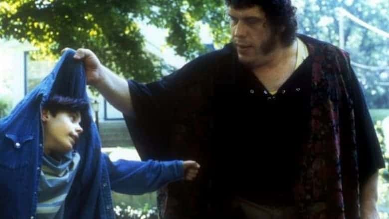 Andre the Giant Facts