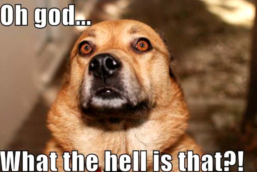 Encounters With The Supernatural facts