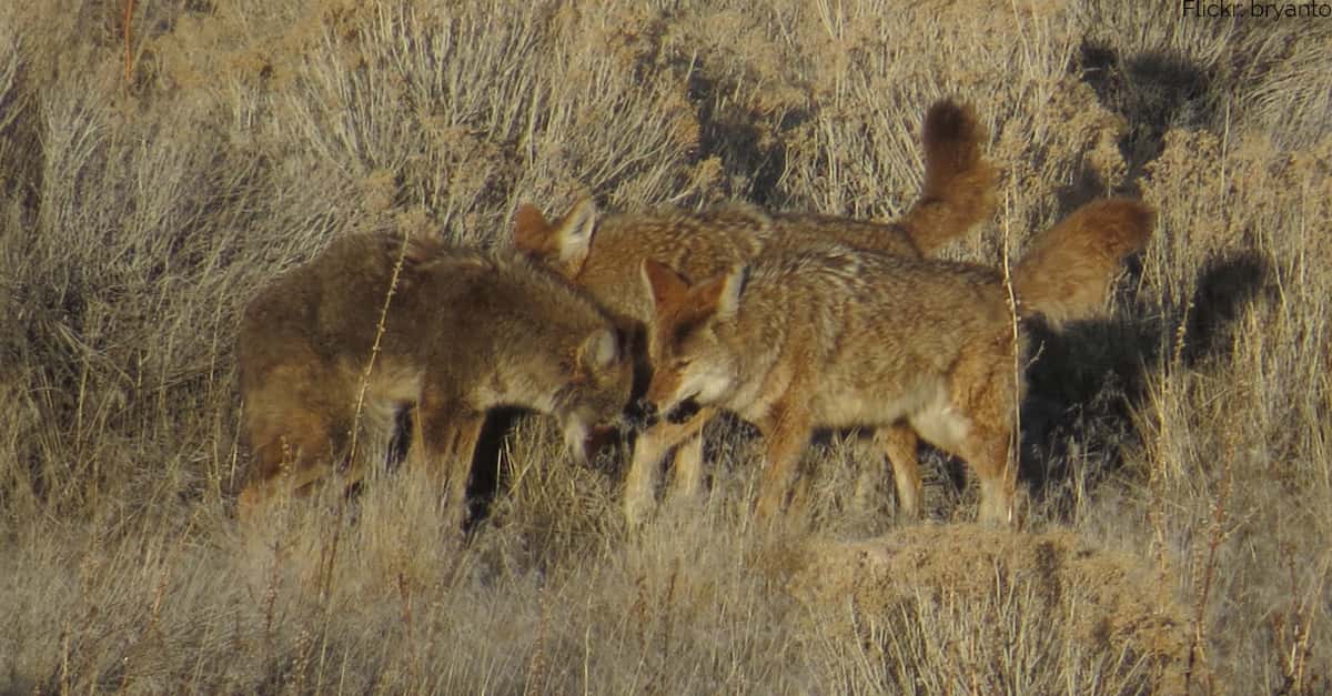 Craziest Things Moms Ever Done Facts